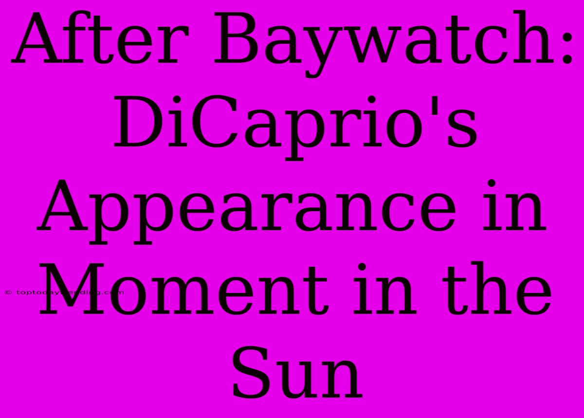 After Baywatch: DiCaprio's Appearance In Moment In The Sun