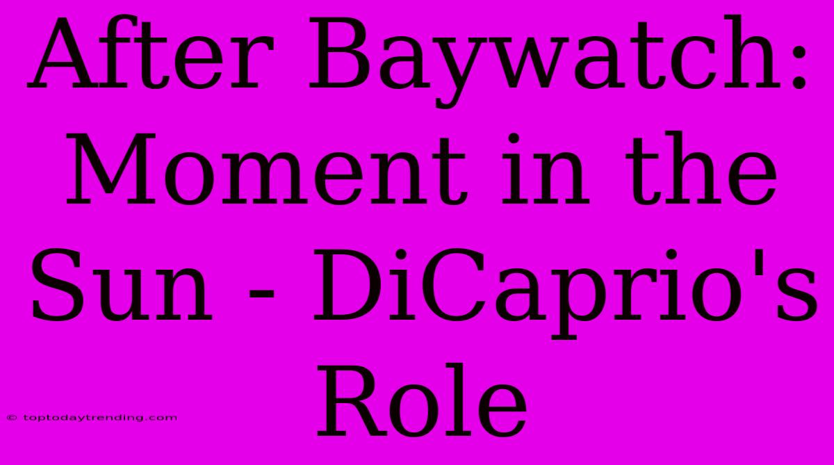 After Baywatch: Moment In The Sun - DiCaprio's Role