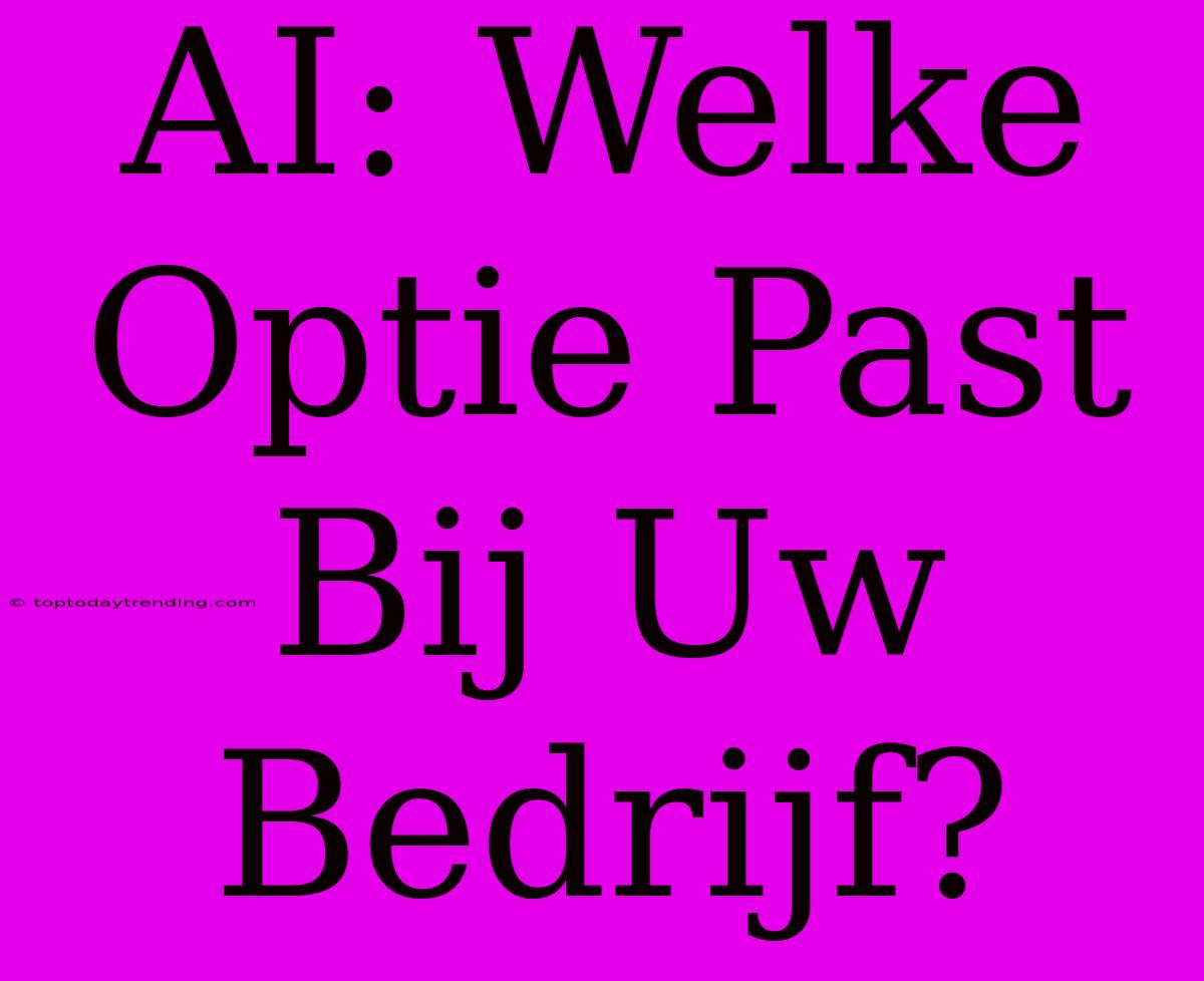 AI: Welke Optie Past Bij Uw Bedrijf?