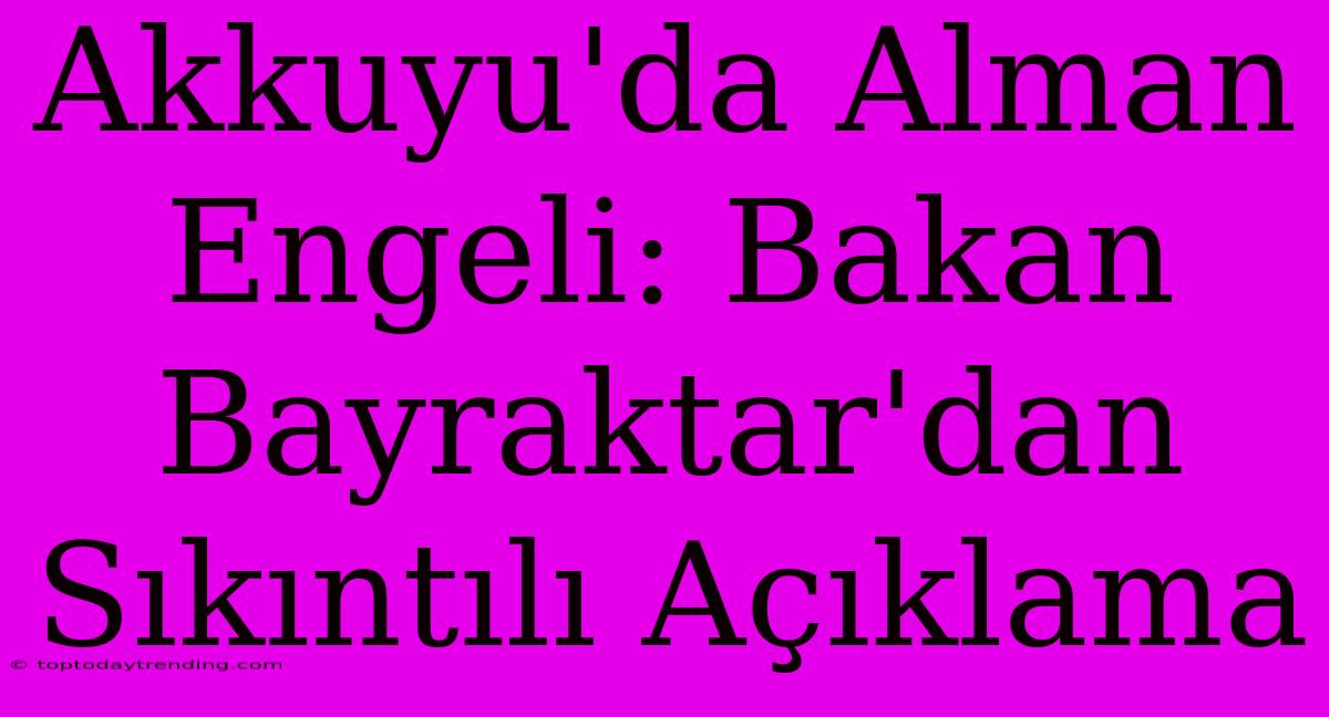 Akkuyu'da Alman Engeli: Bakan Bayraktar'dan Sıkıntılı Açıklama