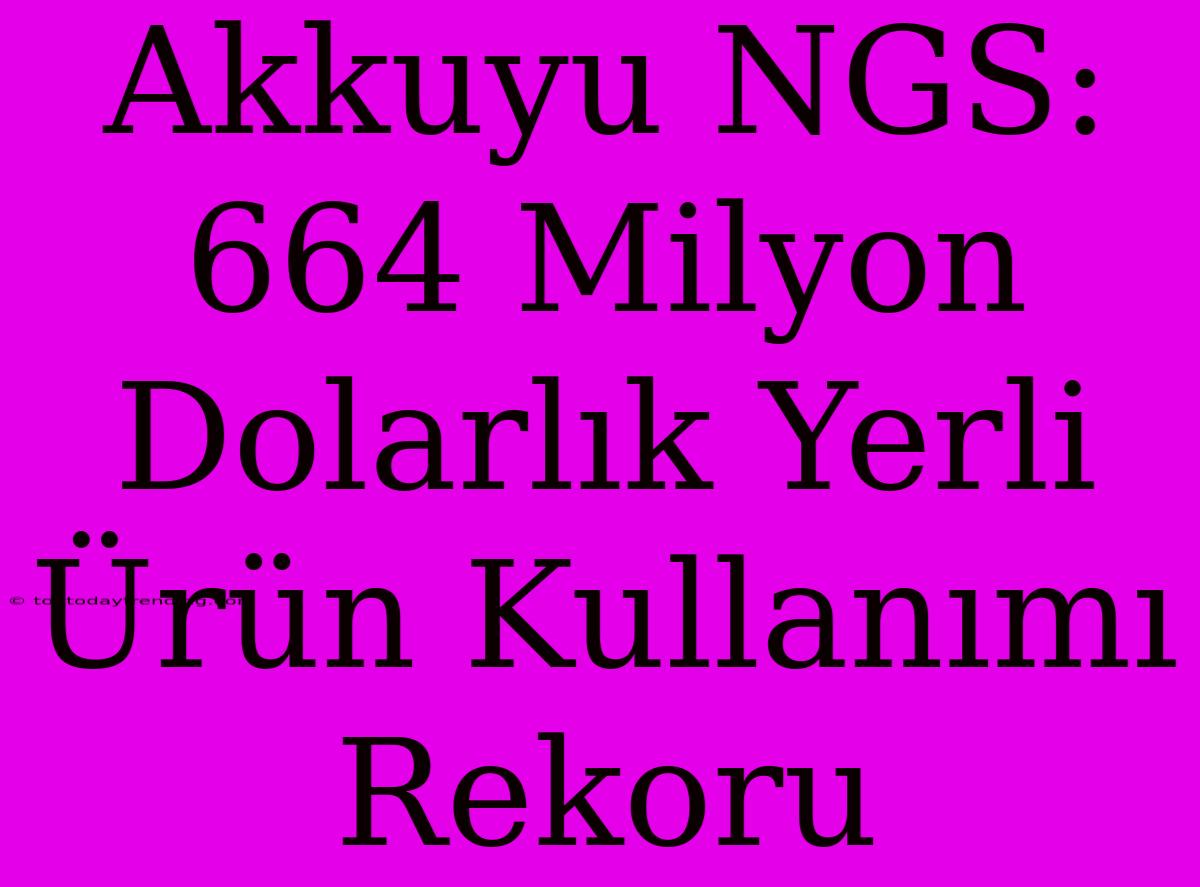 Akkuyu NGS: 664 Milyon Dolarlık Yerli Ürün Kullanımı Rekoru