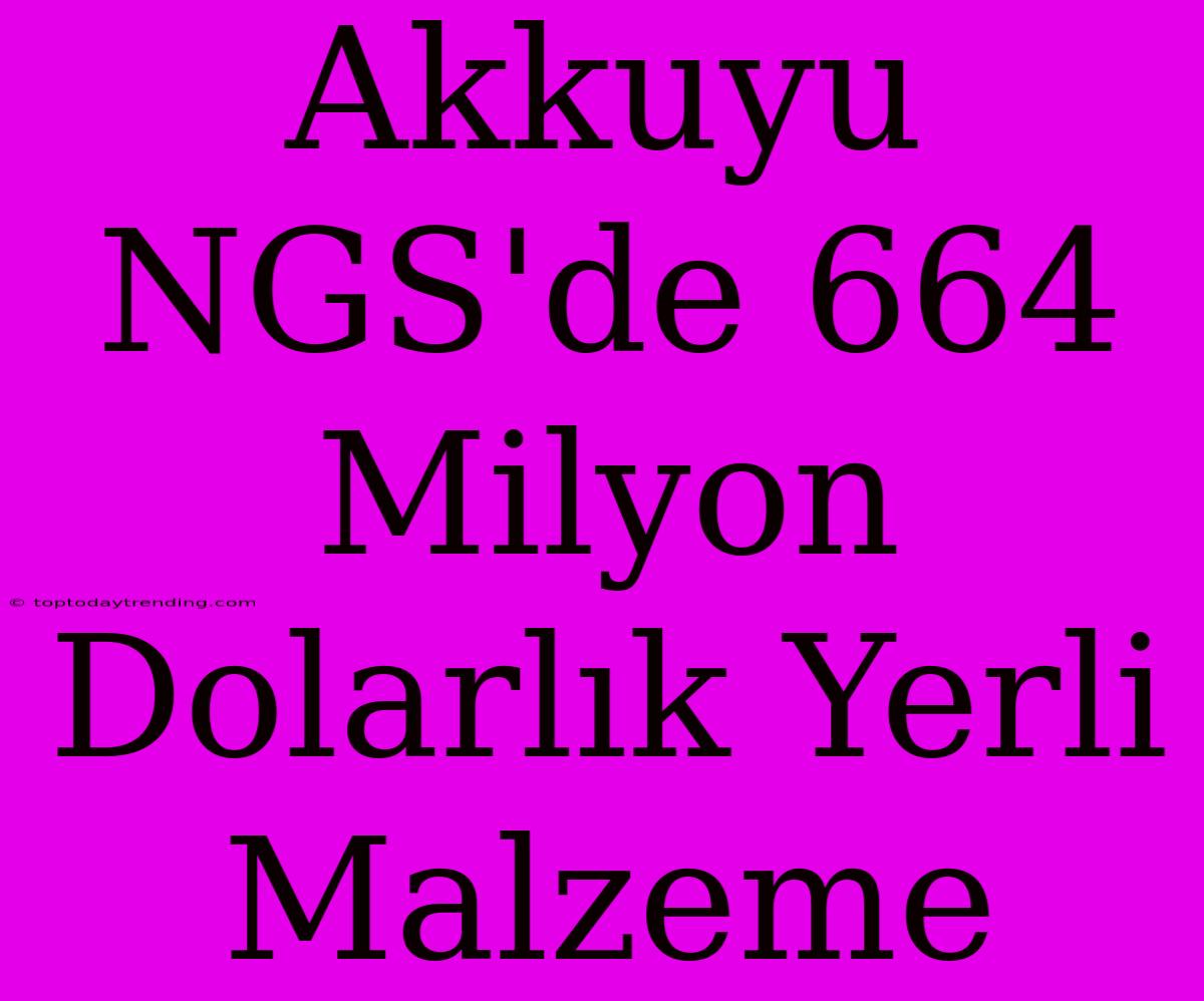 Akkuyu NGS'de 664 Milyon Dolarlık Yerli Malzeme