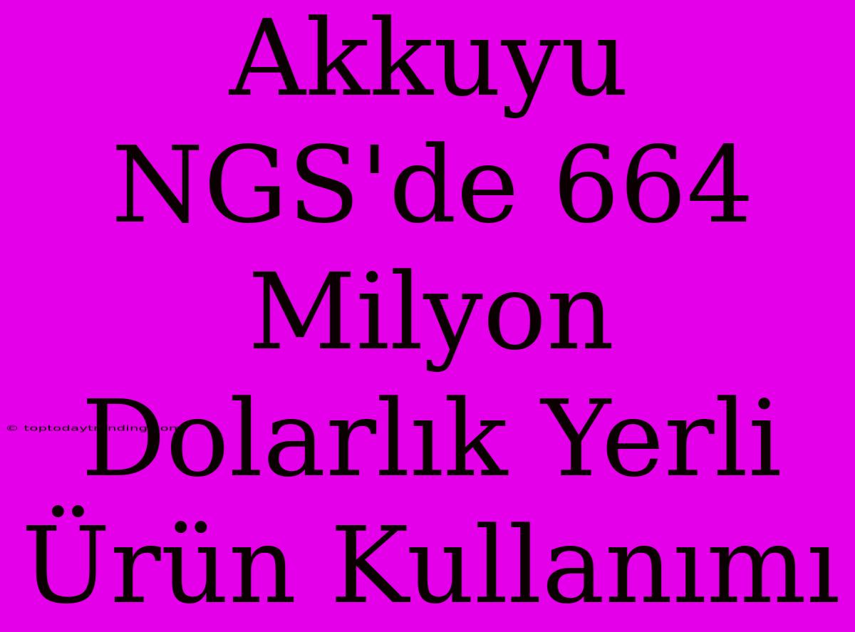 Akkuyu NGS'de 664 Milyon Dolarlık Yerli Ürün Kullanımı