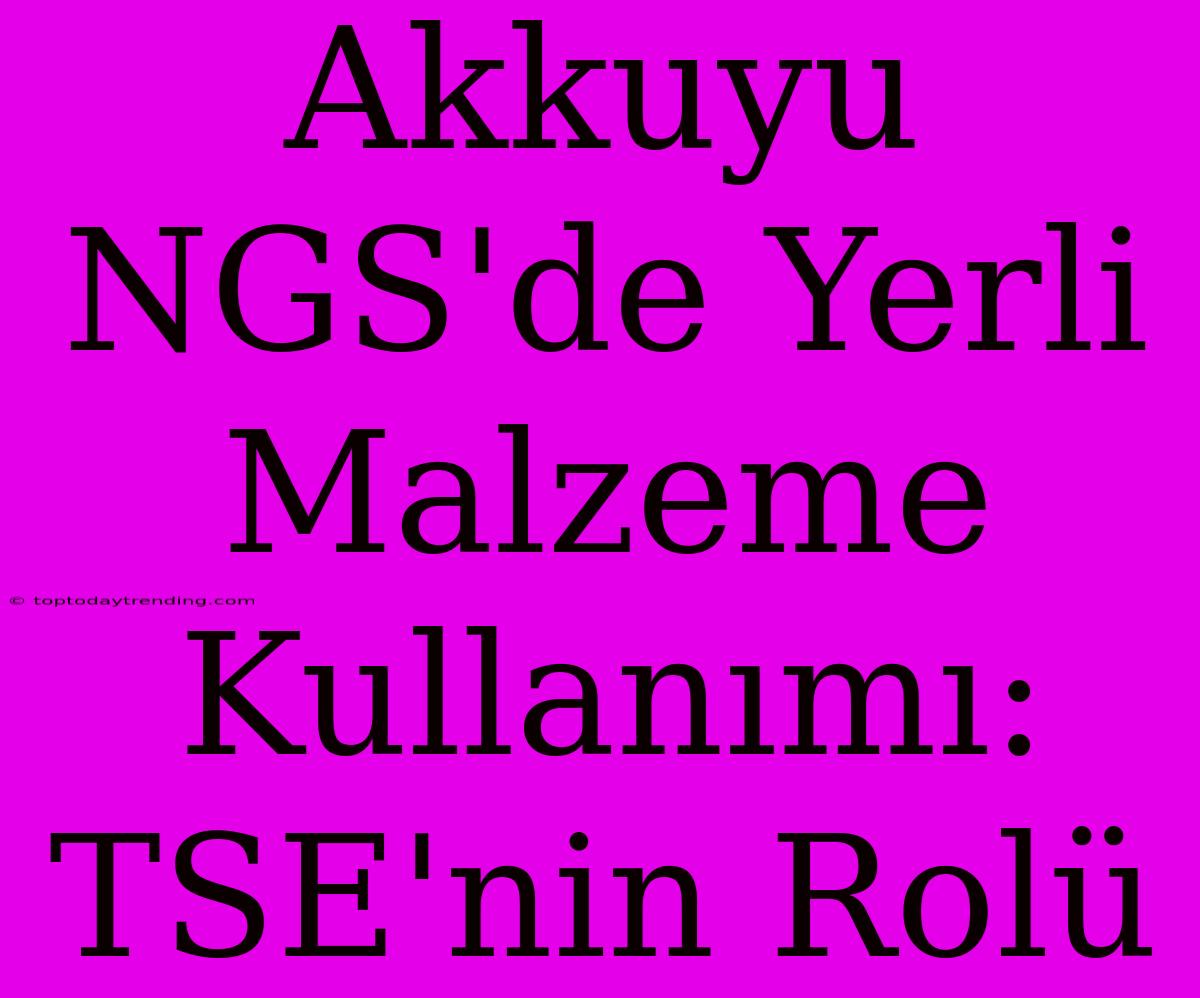 Akkuyu NGS'de Yerli Malzeme Kullanımı: TSE'nin Rolü