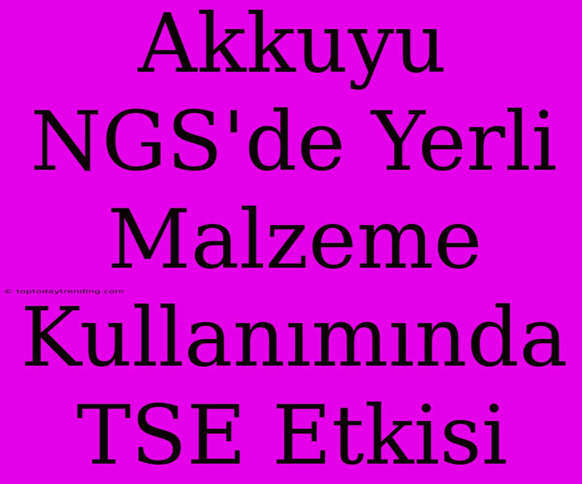 Akkuyu NGS'de Yerli Malzeme Kullanımında TSE Etkisi