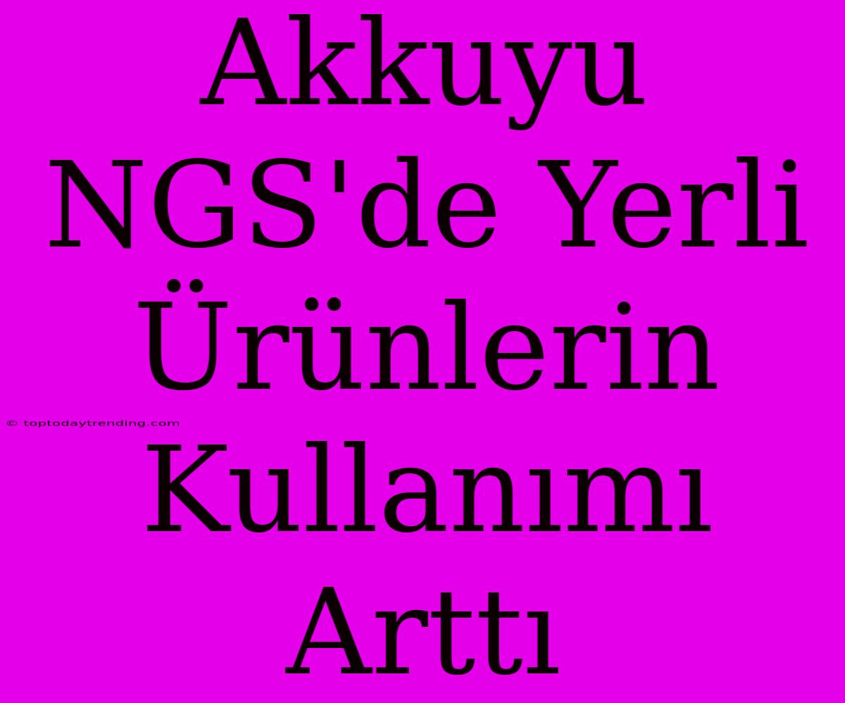 Akkuyu NGS'de Yerli Ürünlerin Kullanımı Arttı