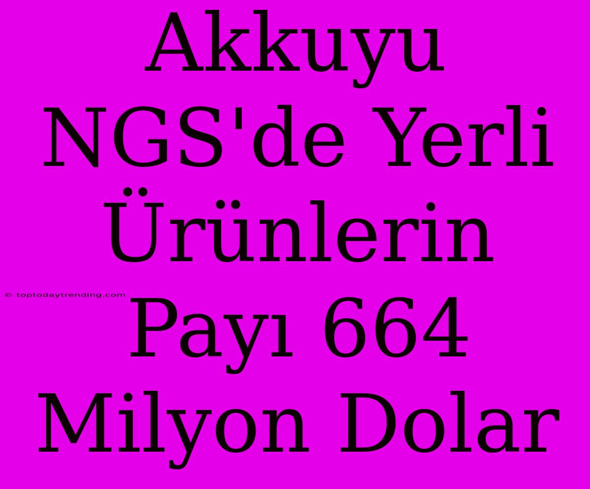 Akkuyu NGS'de Yerli Ürünlerin Payı 664 Milyon Dolar