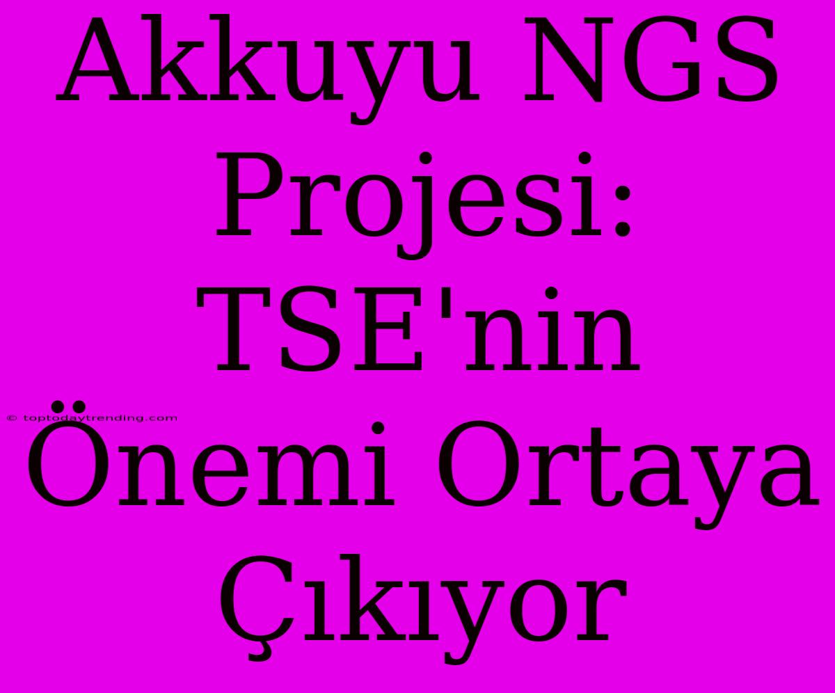 Akkuyu NGS Projesi: TSE'nin Önemi Ortaya Çıkıyor