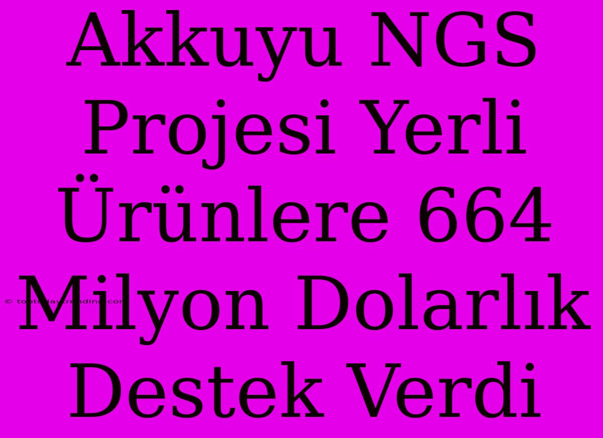 Akkuyu NGS Projesi Yerli Ürünlere 664 Milyon Dolarlık Destek Verdi