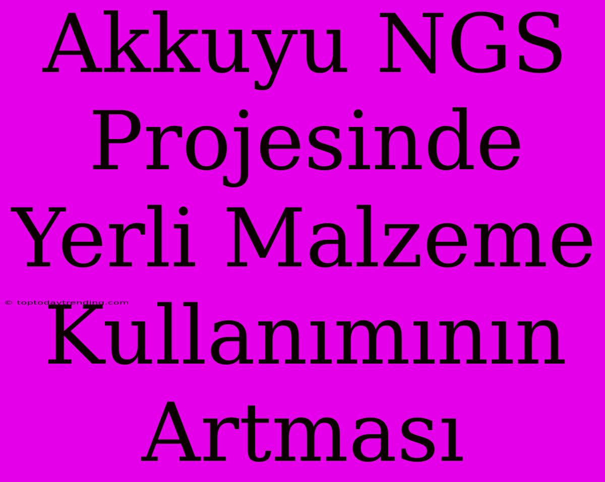 Akkuyu NGS Projesinde Yerli Malzeme Kullanımının Artması