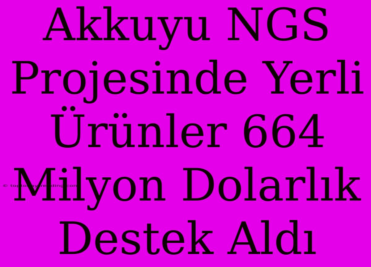 Akkuyu NGS Projesinde Yerli Ürünler 664 Milyon Dolarlık Destek Aldı