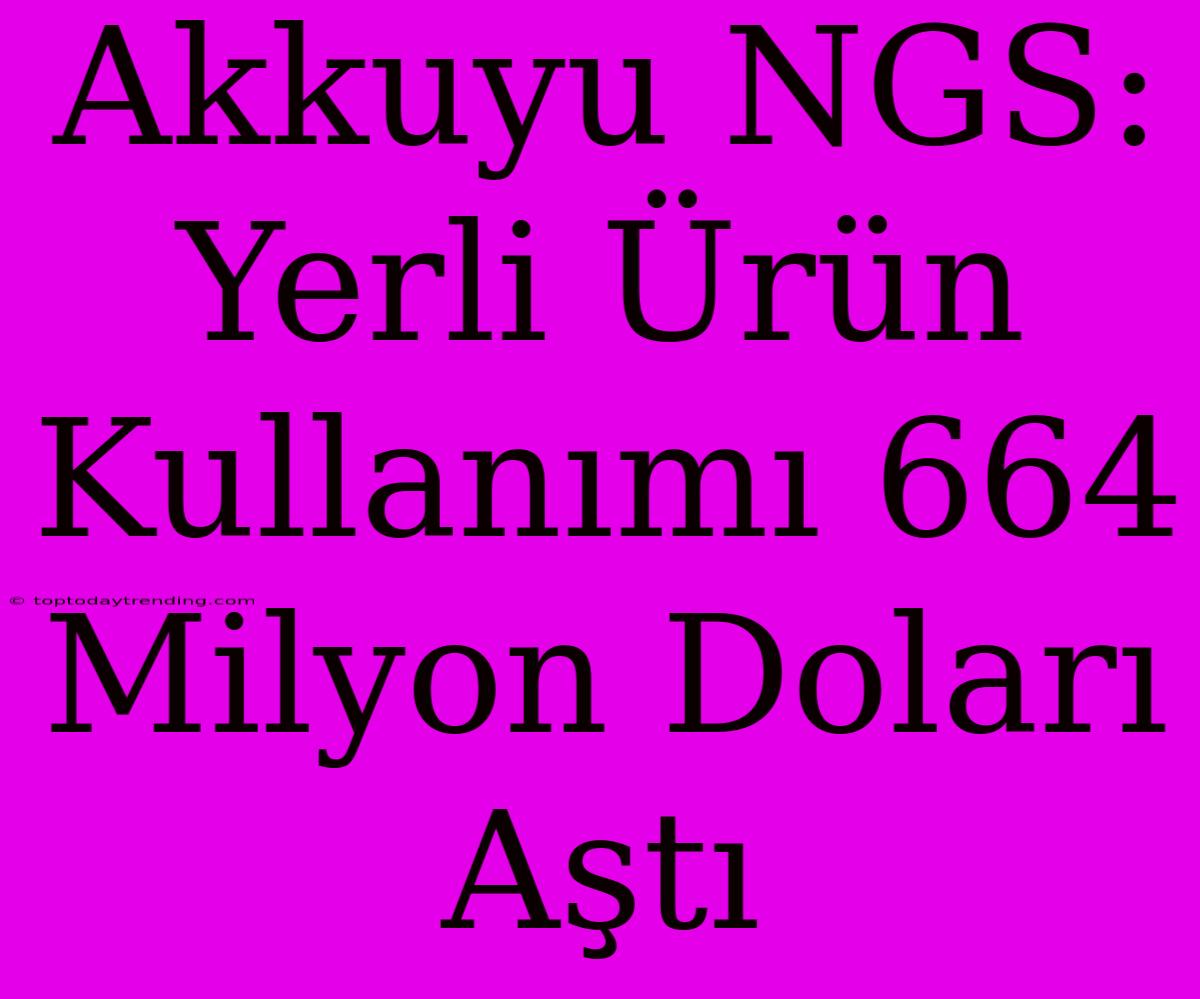 Akkuyu NGS: Yerli Ürün Kullanımı 664 Milyon Doları Aştı