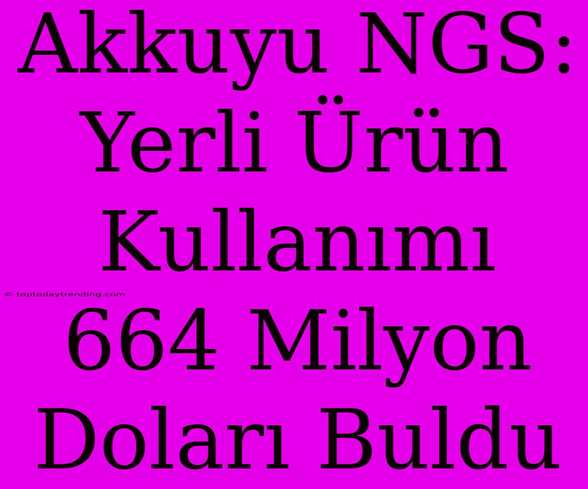 Akkuyu NGS: Yerli Ürün Kullanımı 664 Milyon Doları Buldu