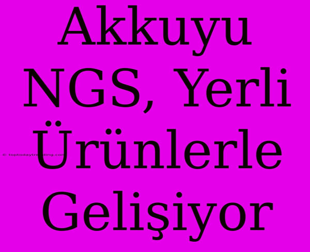 Akkuyu NGS, Yerli Ürünlerle Gelişiyor