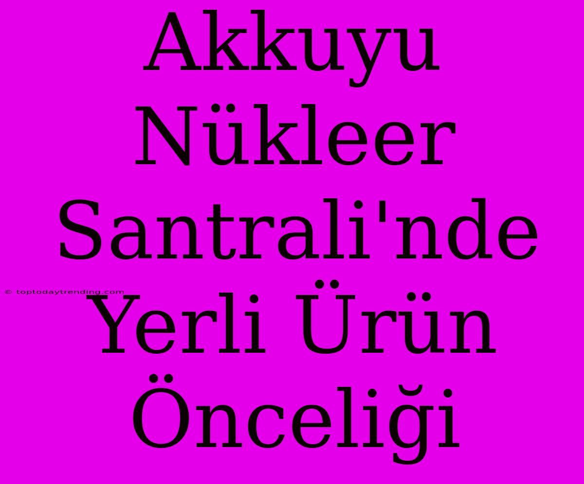 Akkuyu Nükleer Santrali'nde Yerli Ürün Önceliği