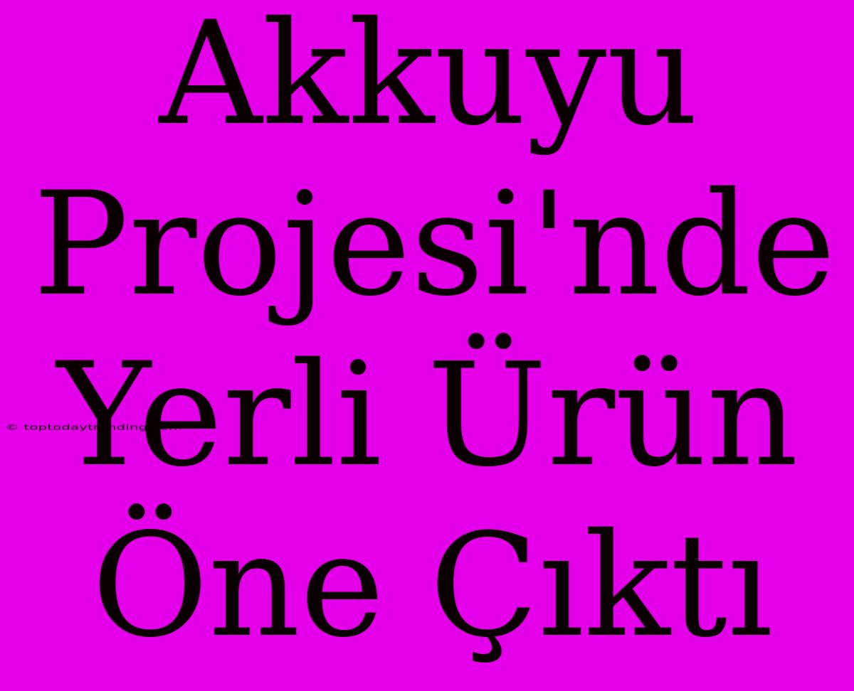 Akkuyu Projesi'nde Yerli Ürün Öne Çıktı