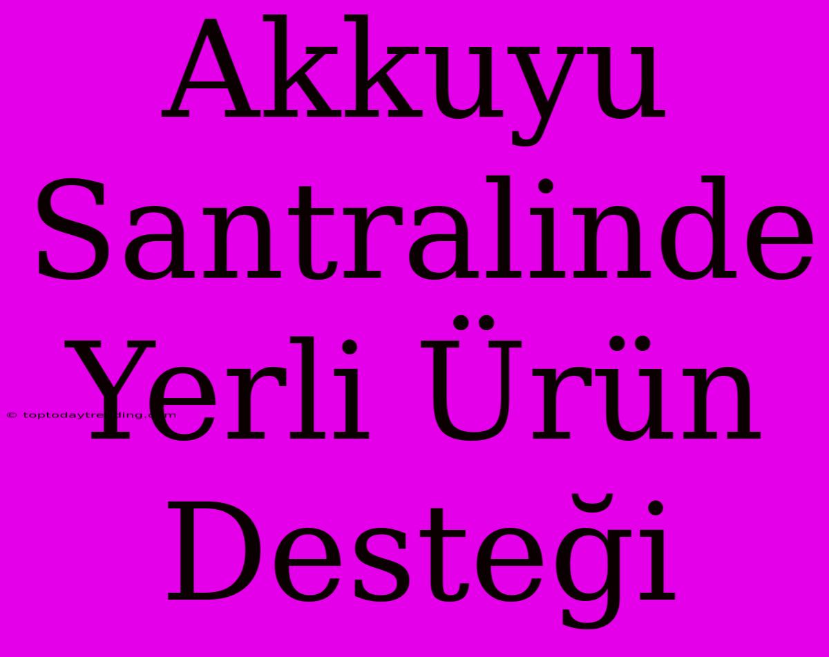 Akkuyu Santralinde Yerli Ürün Desteği