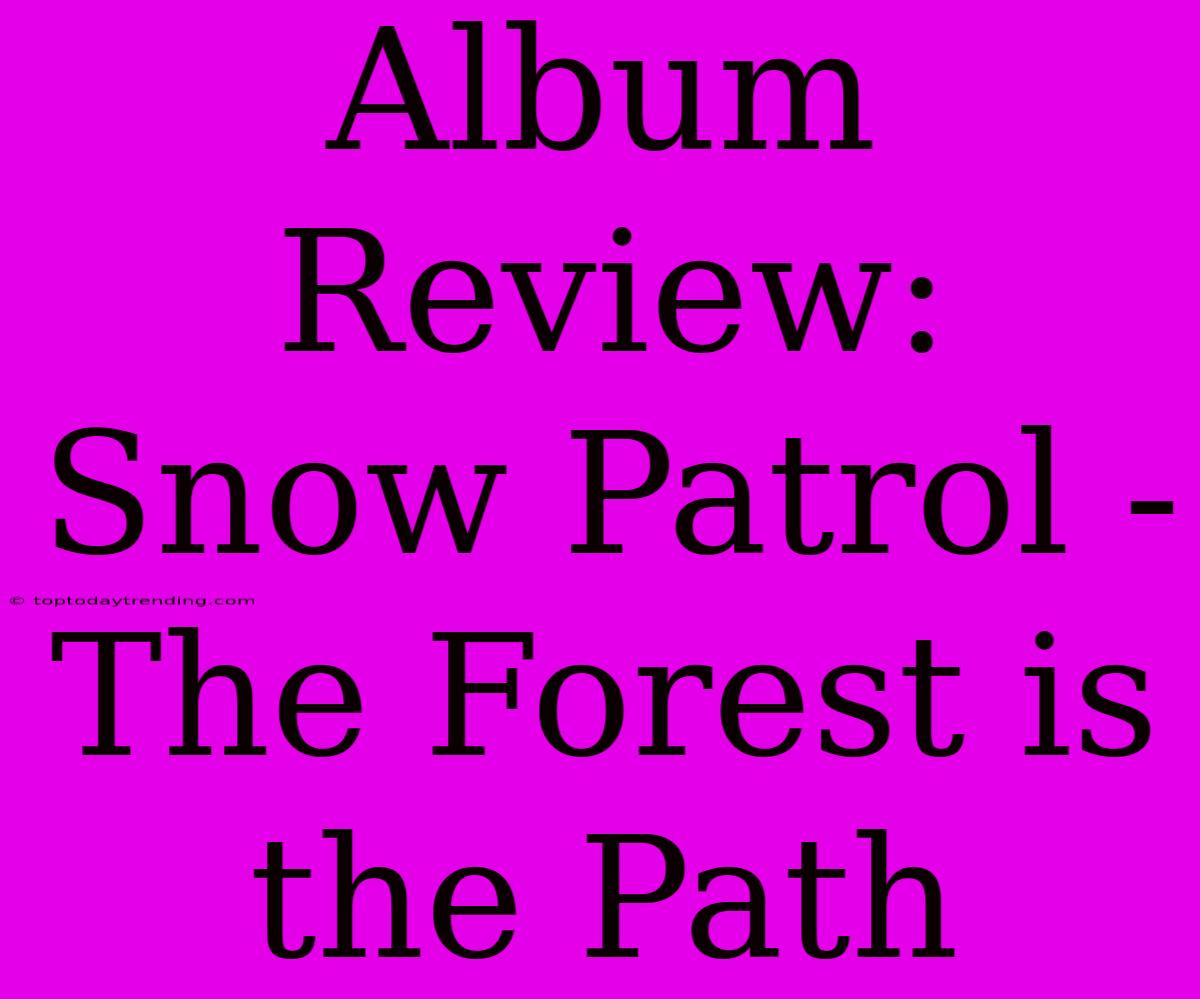 Album Review: Snow Patrol - The Forest Is The Path