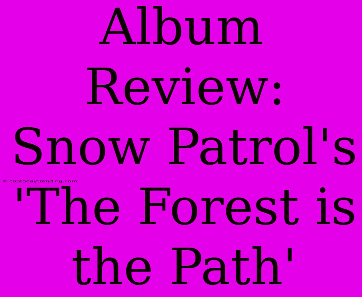 Album Review: Snow Patrol's 'The Forest Is The Path'