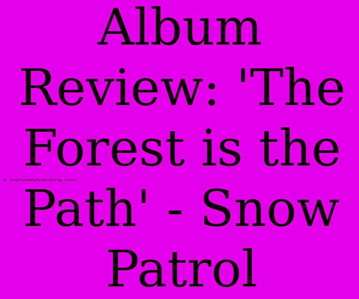 Album Review: 'The Forest Is The Path' - Snow Patrol