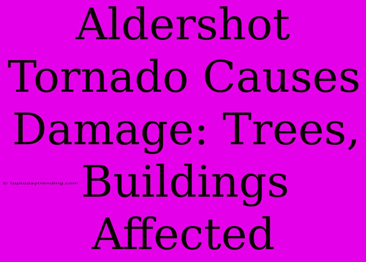 Aldershot Tornado Causes Damage: Trees, Buildings Affected