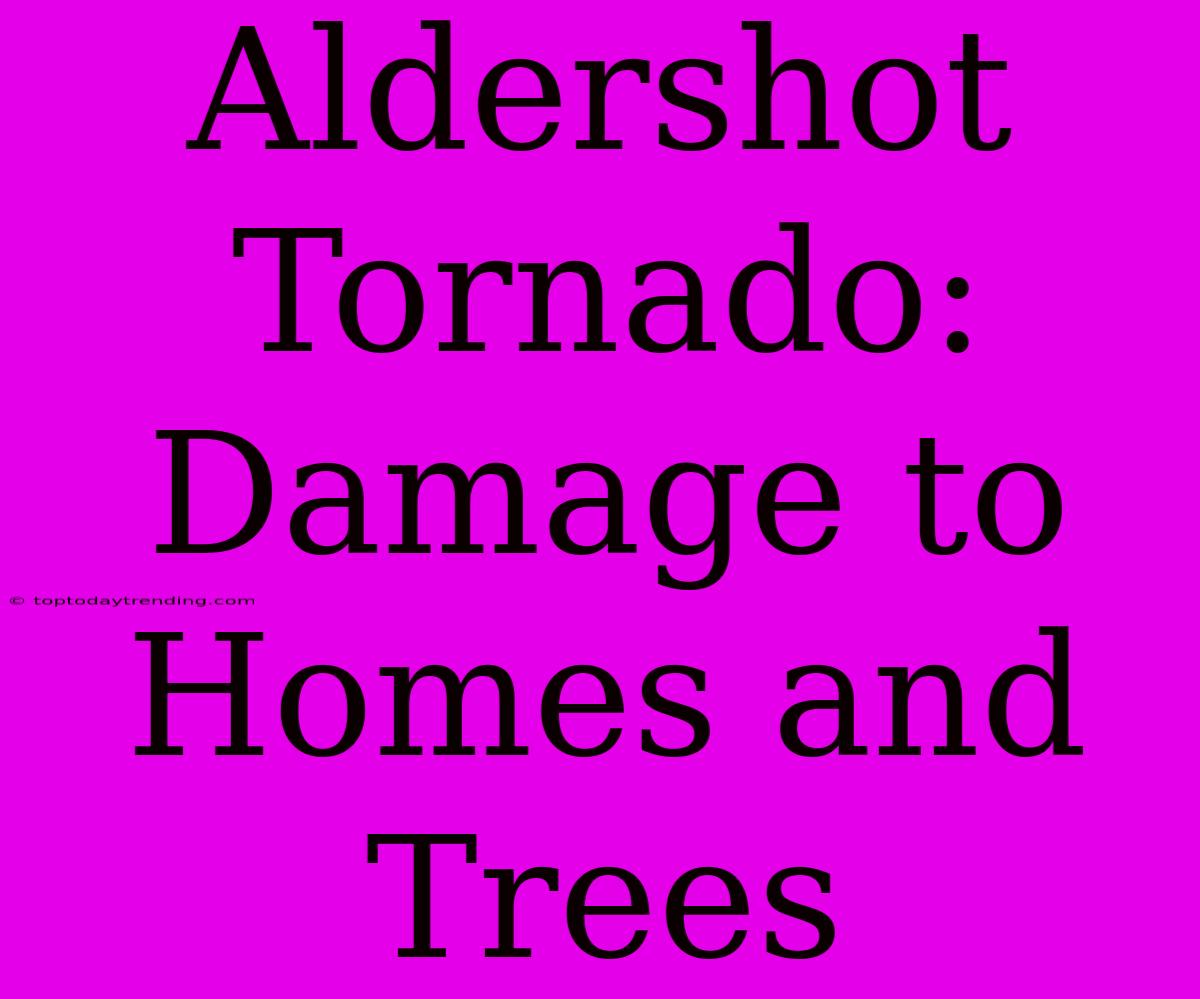 Aldershot Tornado: Damage To Homes And Trees