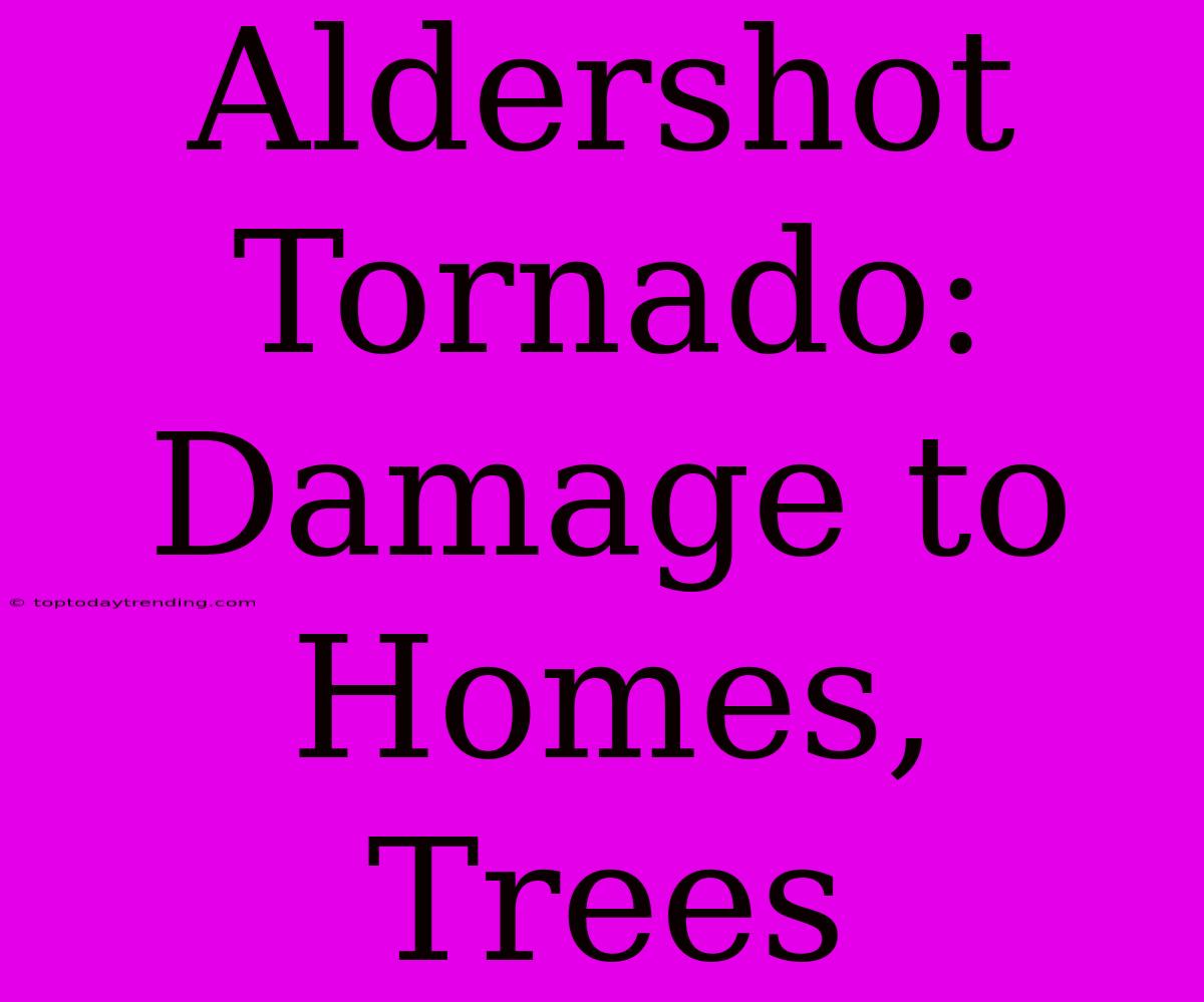 Aldershot Tornado: Damage To Homes, Trees