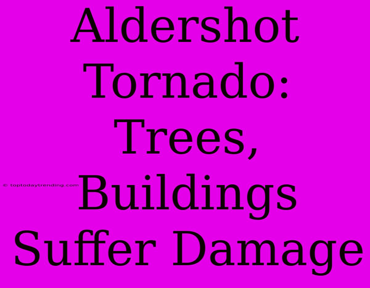 Aldershot Tornado: Trees, Buildings Suffer Damage