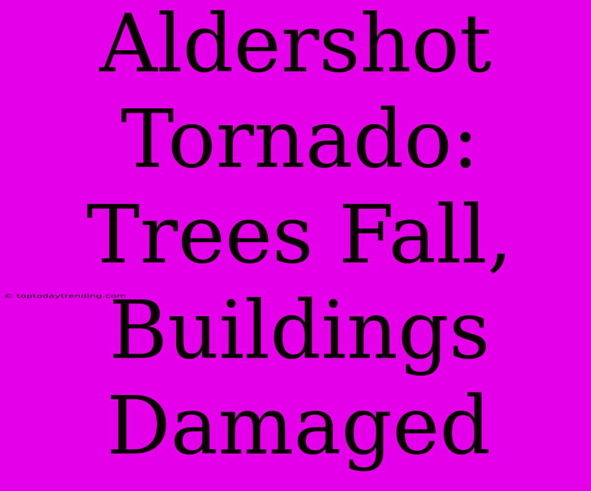 Aldershot Tornado: Trees Fall, Buildings Damaged