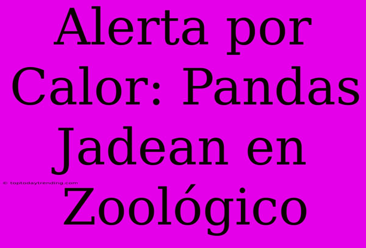 Alerta Por Calor: Pandas Jadean En Zoológico