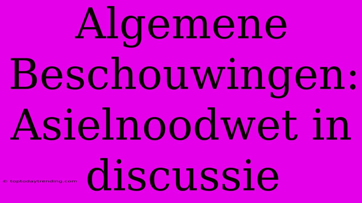 Algemene Beschouwingen: Asielnoodwet In Discussie