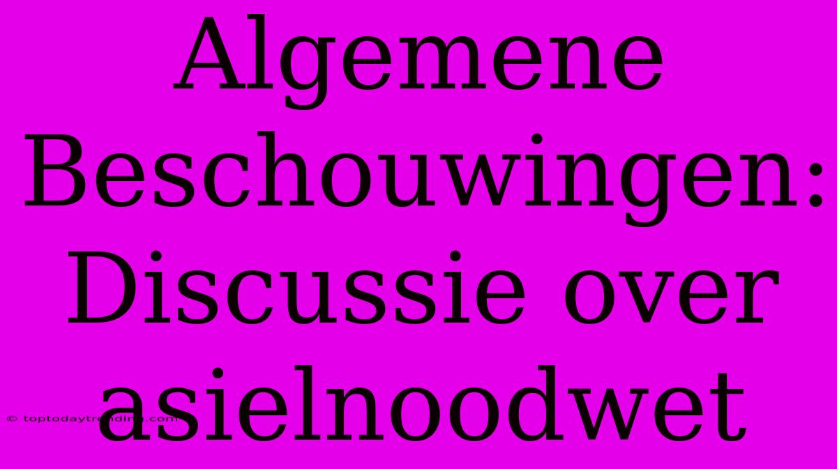 Algemene Beschouwingen: Discussie Over Asielnoodwet