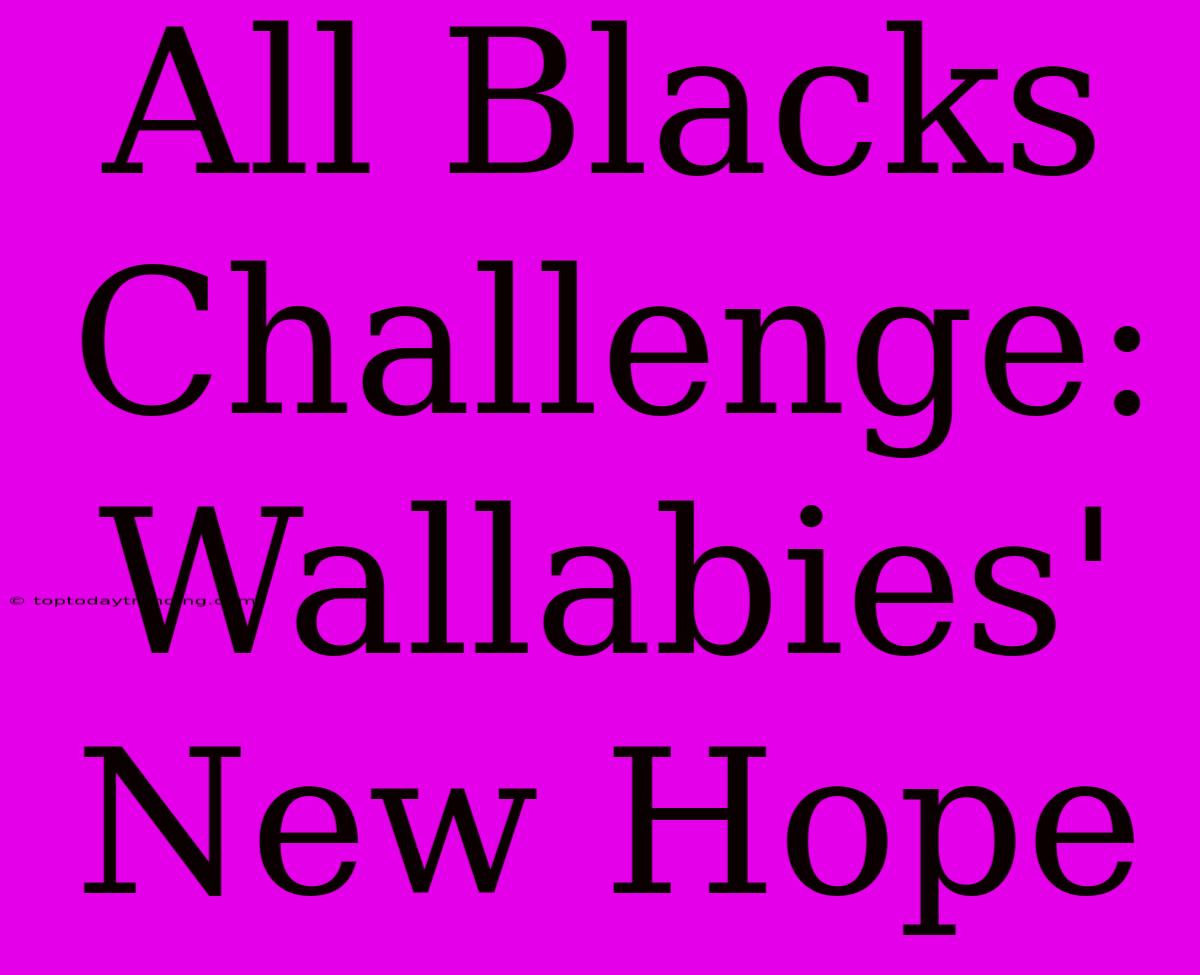 All Blacks Challenge: Wallabies' New Hope