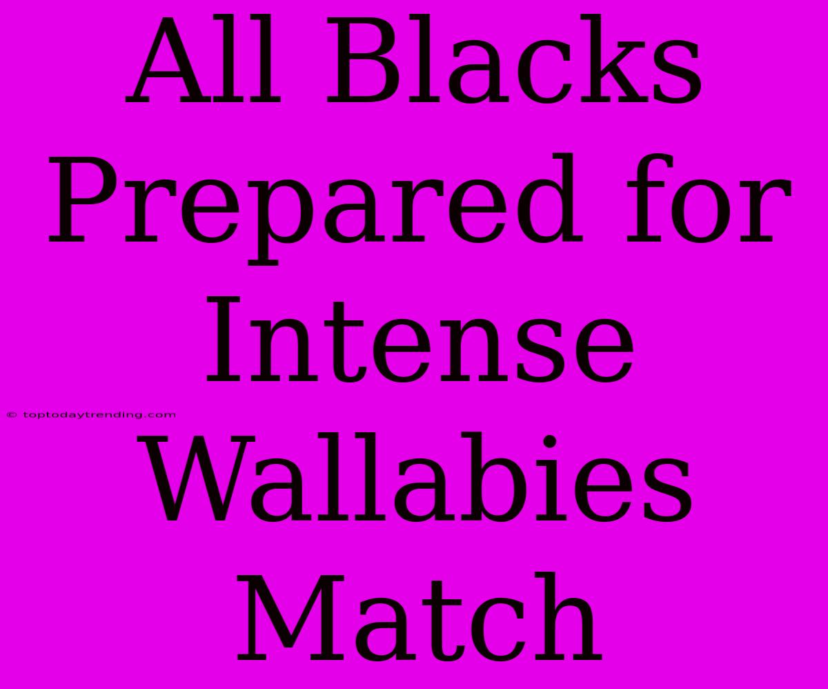 All Blacks Prepared For Intense Wallabies Match