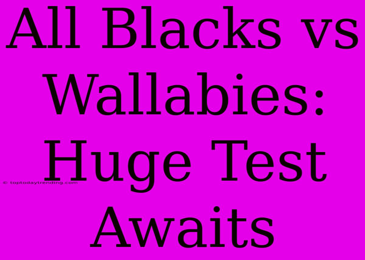 All Blacks Vs Wallabies: Huge Test Awaits