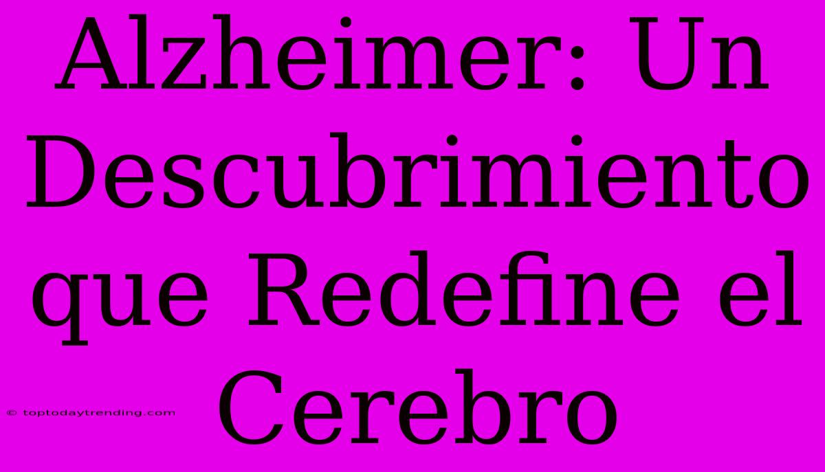 Alzheimer: Un Descubrimiento Que Redefine El Cerebro