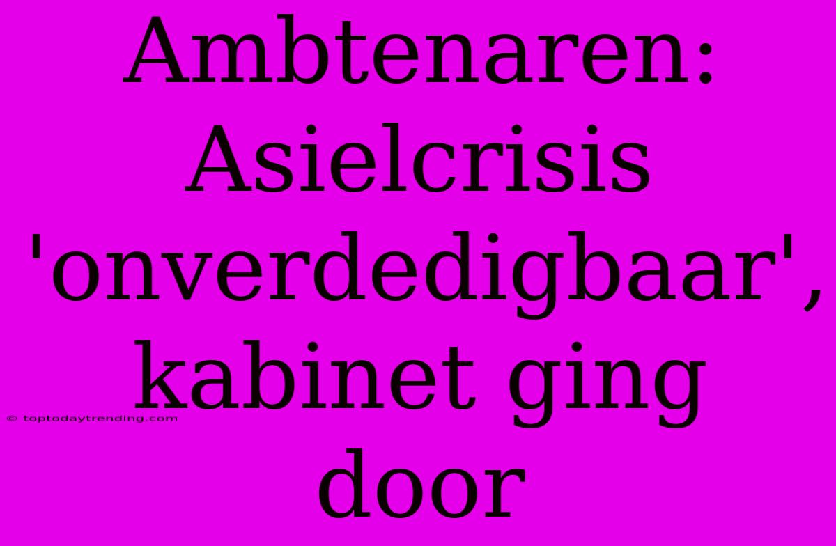 Ambtenaren: Asielcrisis 'onverdedigbaar', Kabinet Ging Door