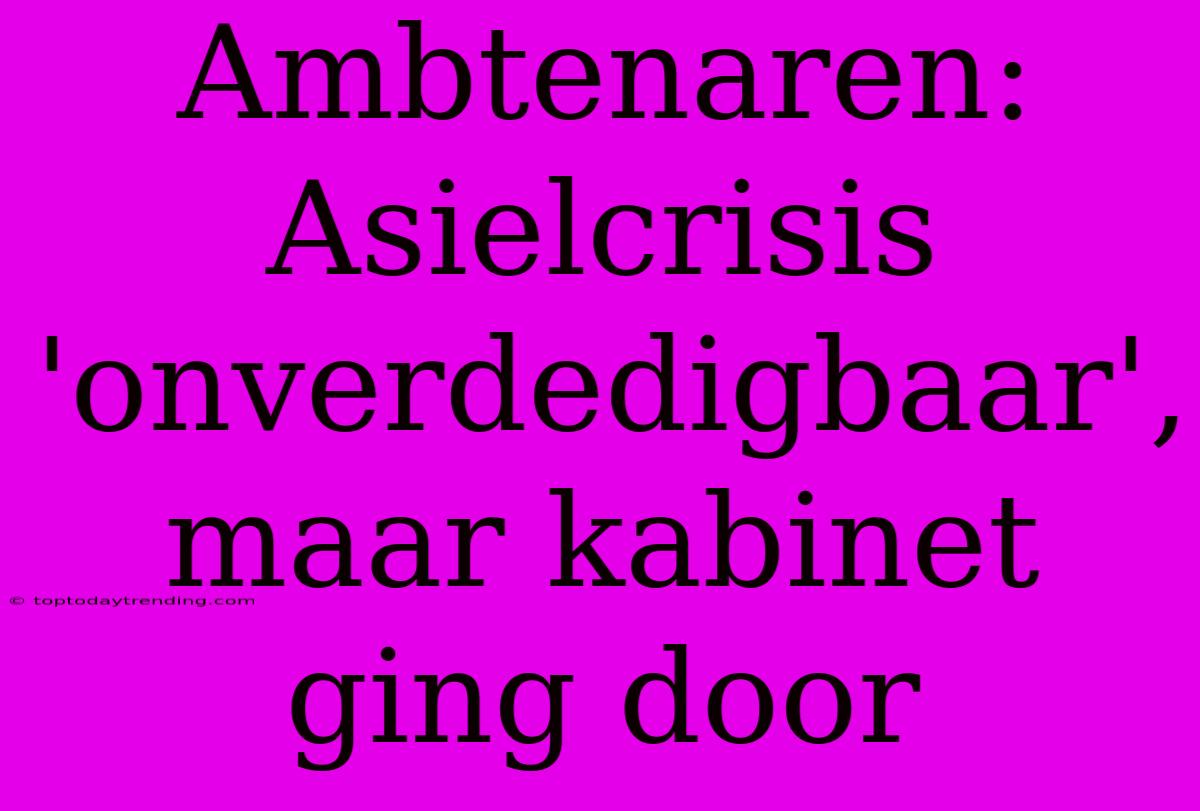 Ambtenaren: Asielcrisis 'onverdedigbaar', Maar Kabinet Ging Door