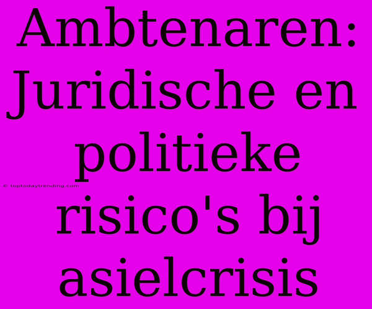 Ambtenaren: Juridische En Politieke Risico's Bij Asielcrisis