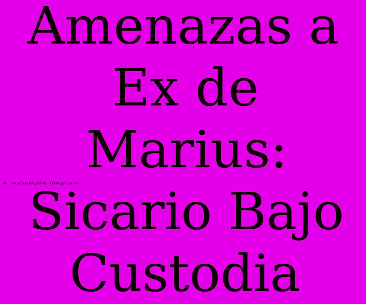 Amenazas A Ex De Marius: Sicario Bajo Custodia