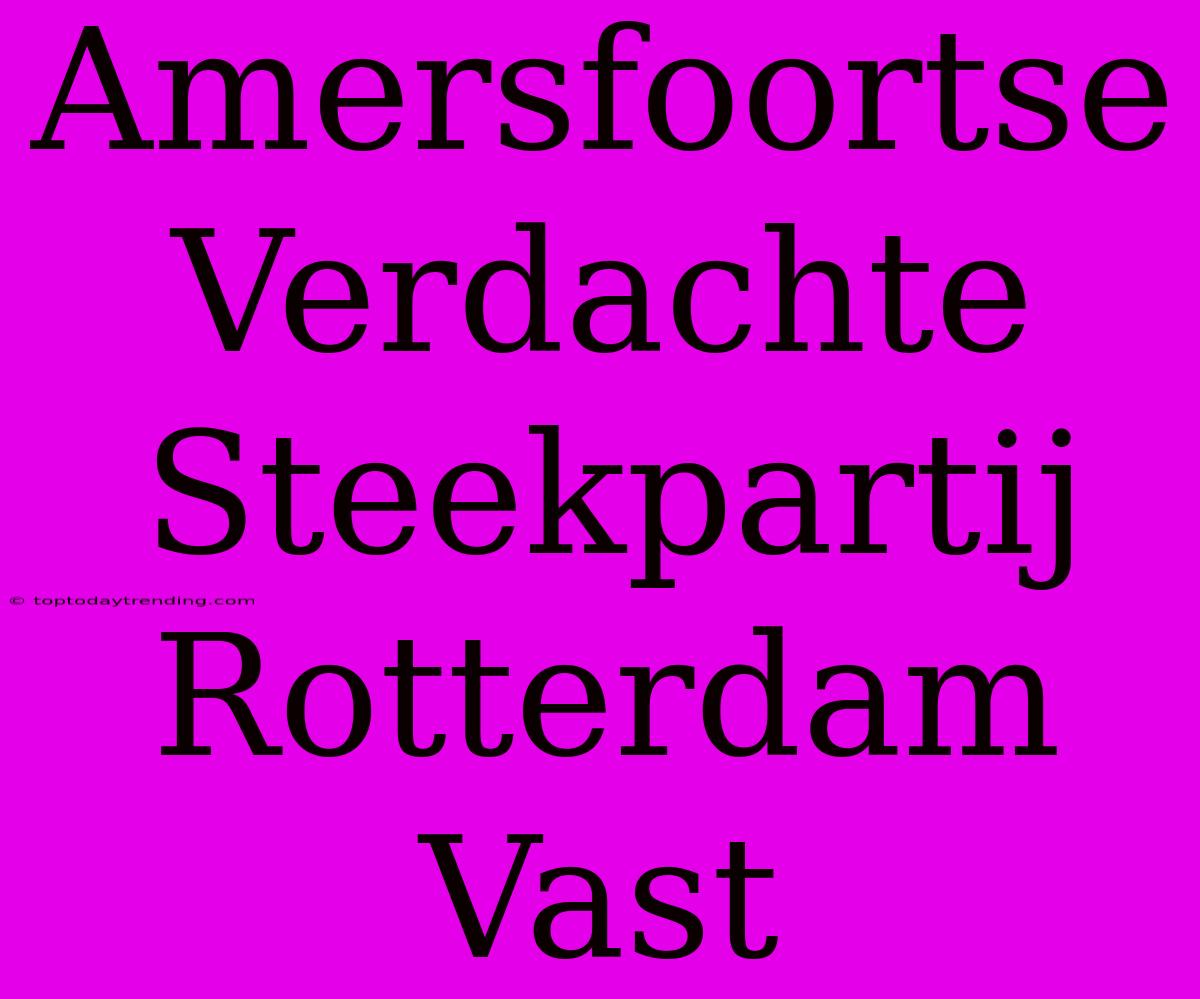 Amersfoortse Verdachte Steekpartij Rotterdam Vast