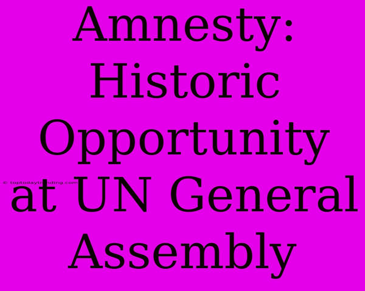 Amnesty: Historic Opportunity At UN General Assembly