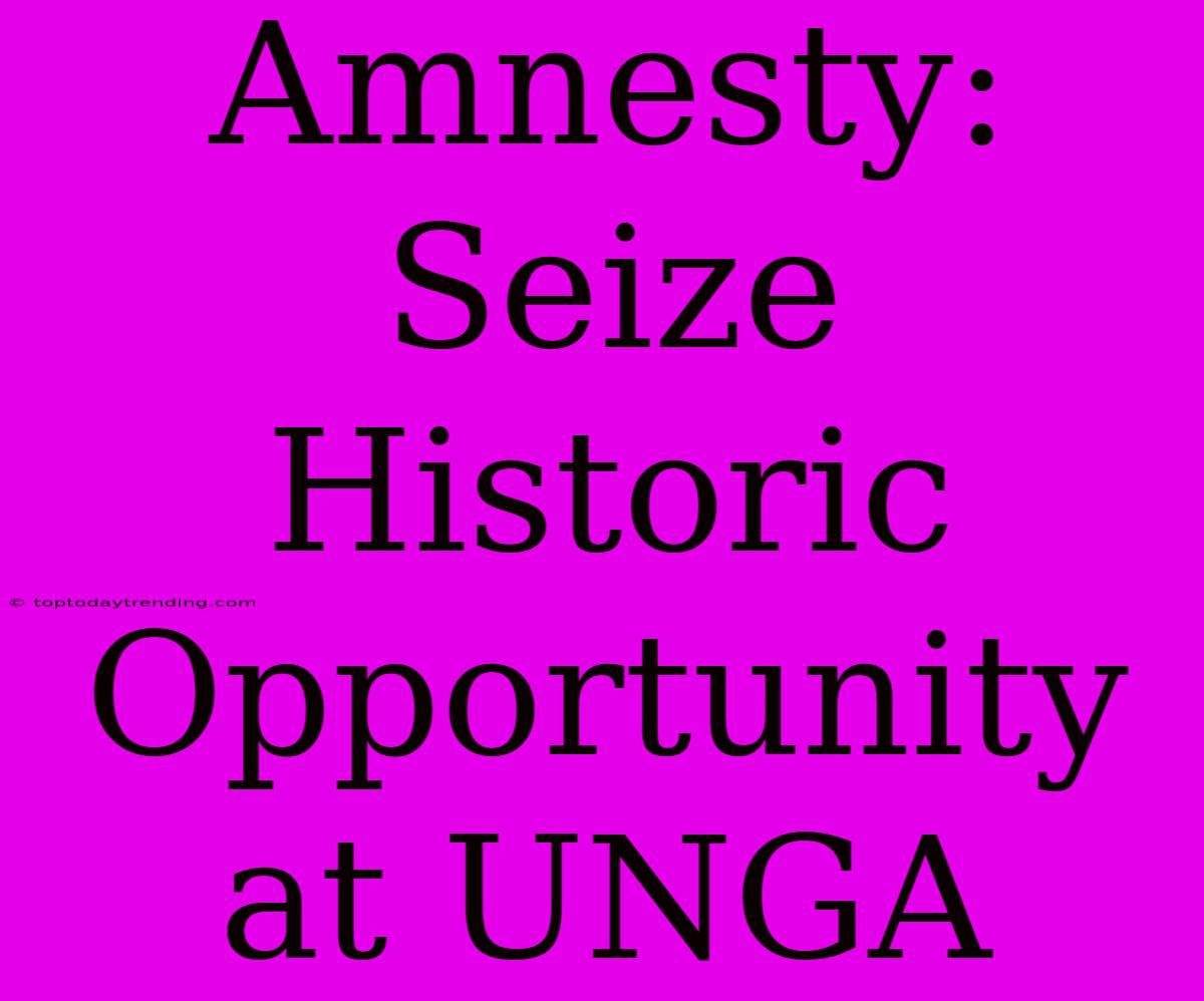 Amnesty: Seize Historic Opportunity At UNGA