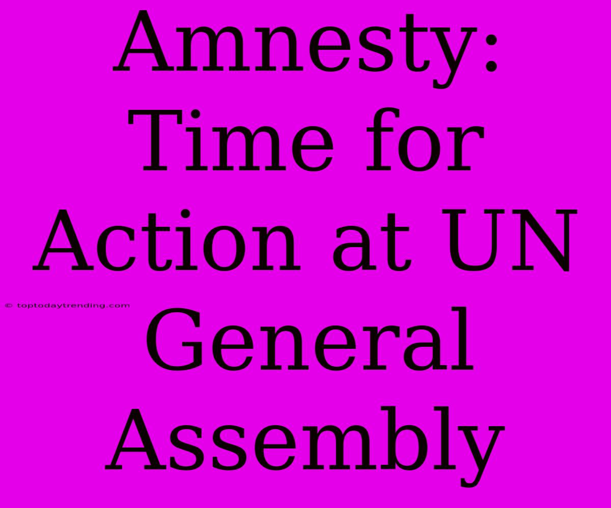 Amnesty: Time For Action At UN General Assembly