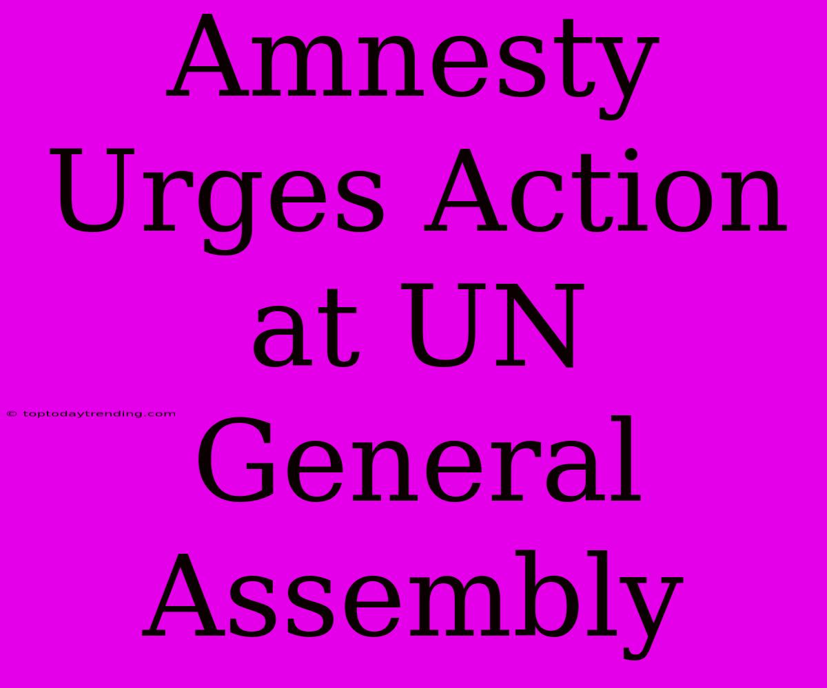 Amnesty Urges Action At UN General Assembly