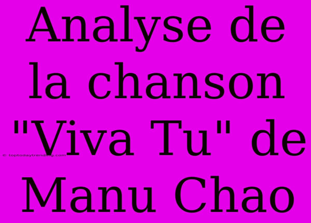 Analyse De La Chanson 