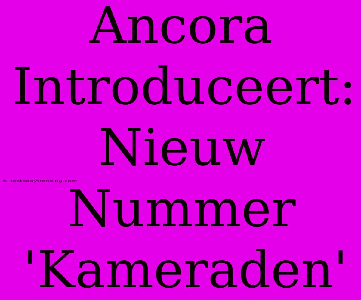 Ancora Introduceert: Nieuw Nummer 'Kameraden'