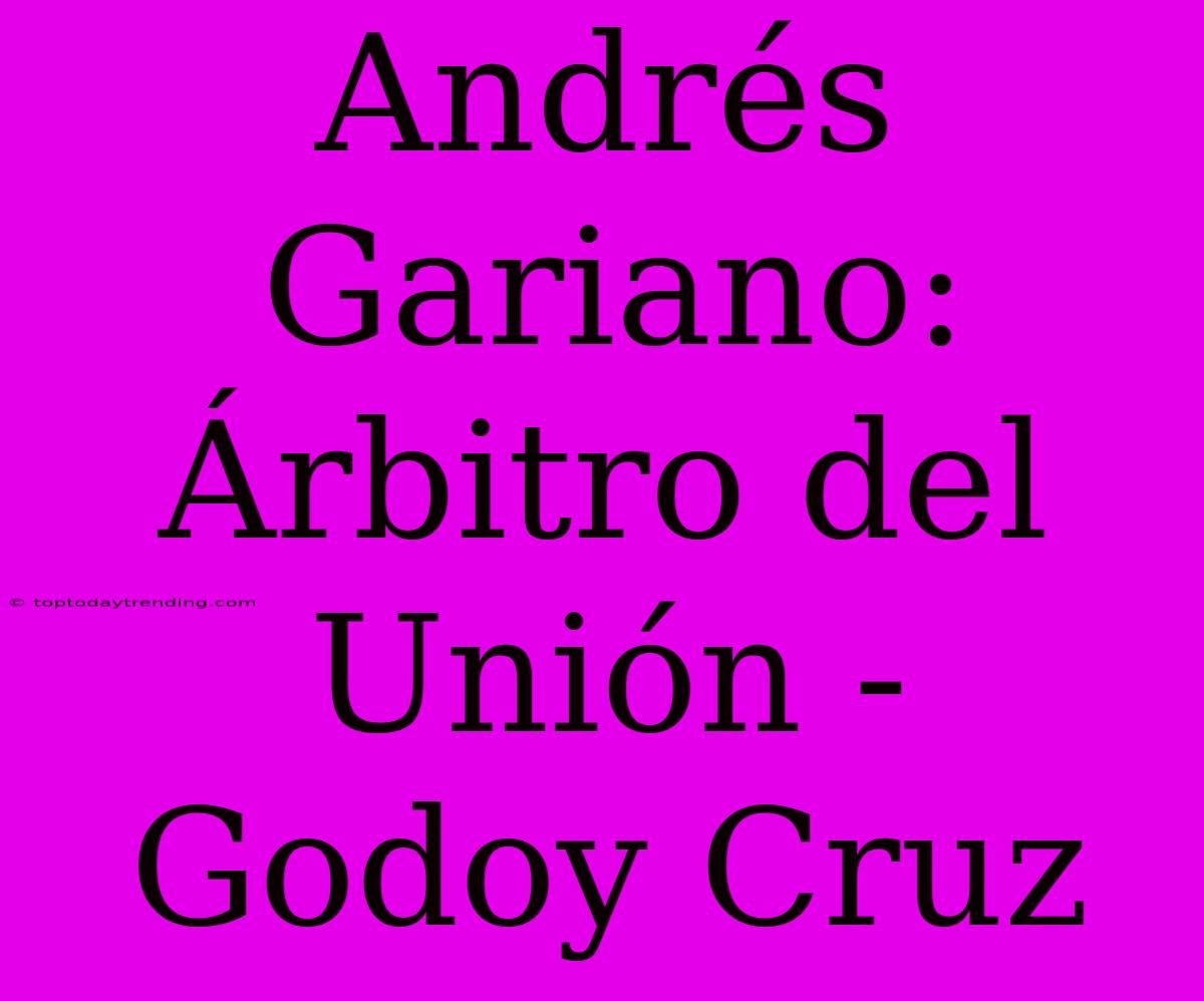 Andrés Gariano: Árbitro Del Unión - Godoy Cruz