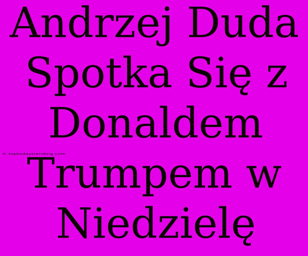 Andrzej Duda Spotka Się Z Donaldem Trumpem W Niedzielę