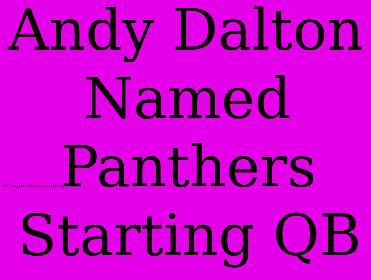 Andy Dalton Named Panthers Starting QB